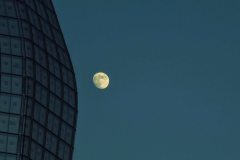 IMG_1322